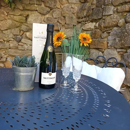 La Petite Vigneronne - Clim - Calme * Aigues-Vives (Herault)