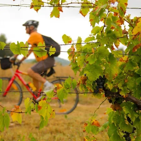 La Petite Vigneronne - Clim - Calme * Aigues-Vives (Herault)