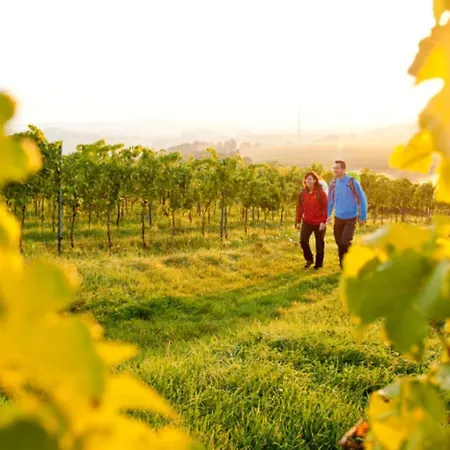 La Petite Vigneronne - Clim - Calme Casa vacanze