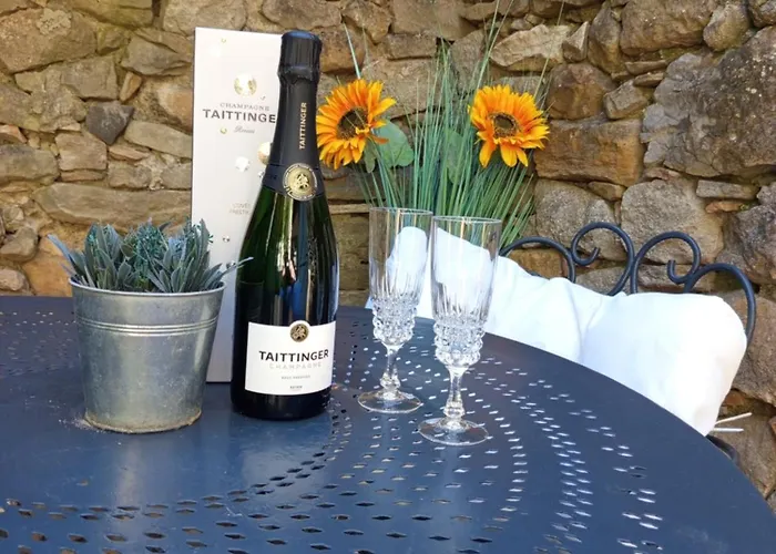 La Petite Vigneronne - Clim - Calme * Aigues-Vives (Herault)