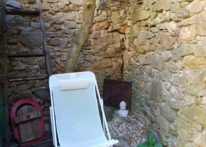 La Petite Vigneronne - Clim - Calme * Aigues-Vives (Herault)