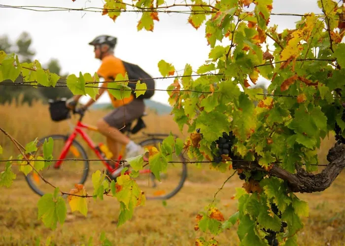 La Petite Vigneronne - Clim - Calme * Aigues-Vives (Herault)