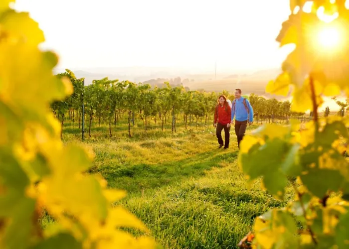 La Petite Vigneronne - Clim - Calme Prázdninový dům