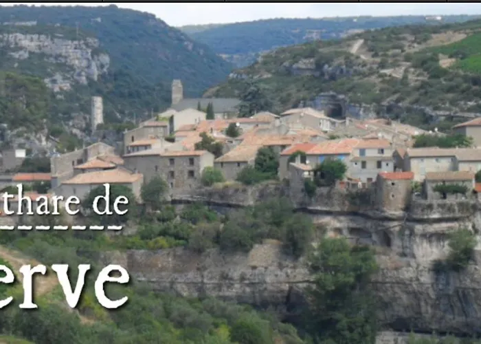 La Petite Vigneronne - Clim - Calme